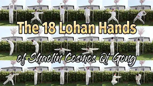 The 18 Lohan Hands