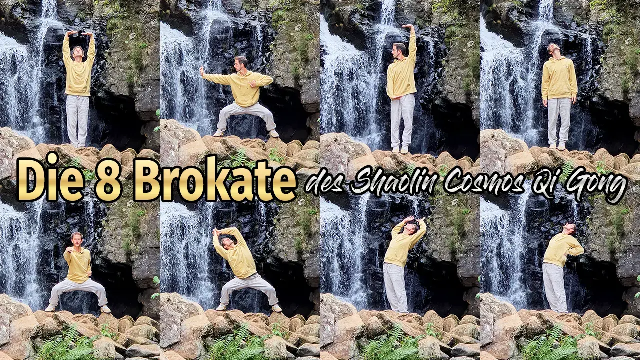 8 Brokate Baduanjin Onlinekurs Deutsch