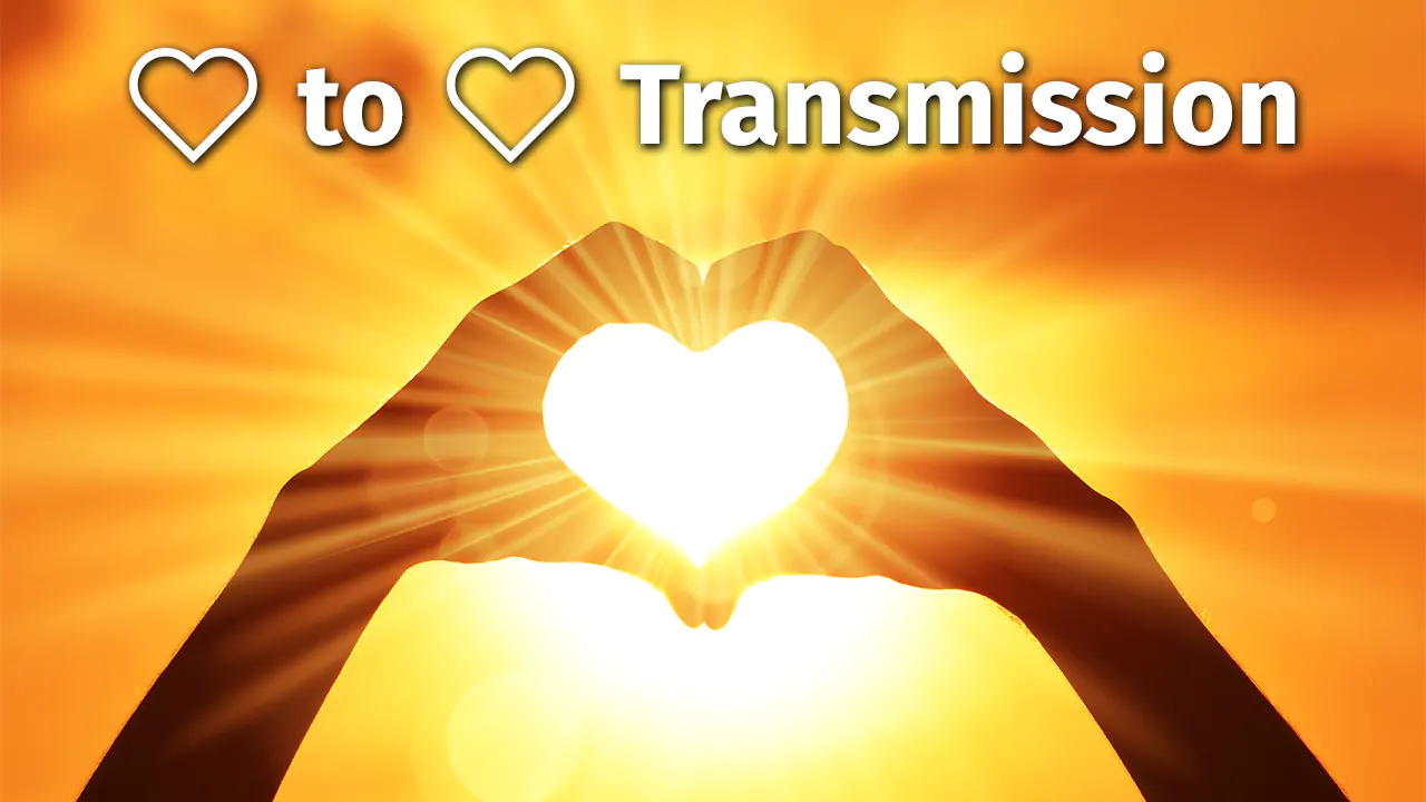 The Heart to Heart Transmission