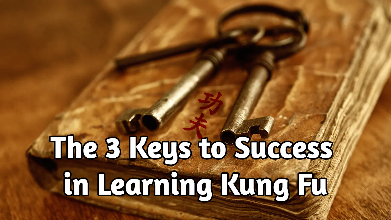 3 Keys to Success in Learning Kung Fu