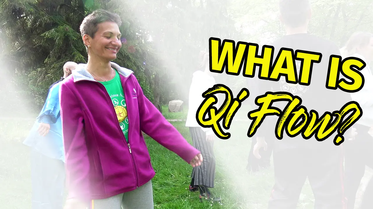 What is Qi Flow?