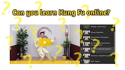 Can you learn Kung Fu online?