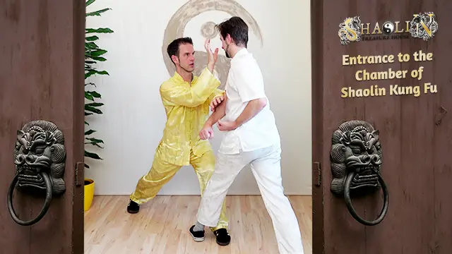 Shaolin Kung Fu Online-Kurs