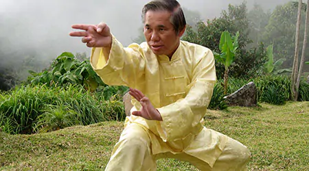 Shaolin Kung Fu Sparring