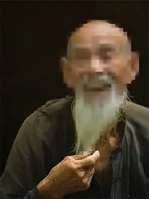 Interview Partner Shaolin Kung Fu