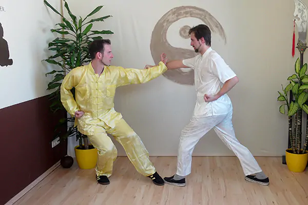 Shaolin Kung Fu Basic Application