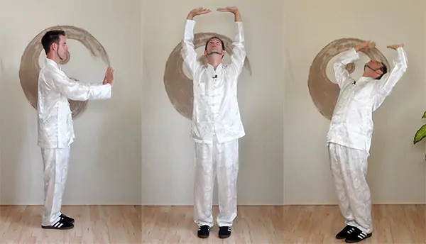 Shaolin Qi Basic Exercises