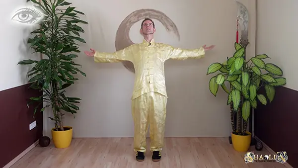 Spiel des Vogels aus dem Spiel der fünf Tiere Qi Gong