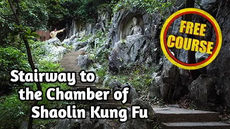 Stairway to the Chamber of Shaolin Kung Fu Mini Online Course