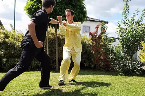 Südliches Shaolin Kung Fu Anwendung