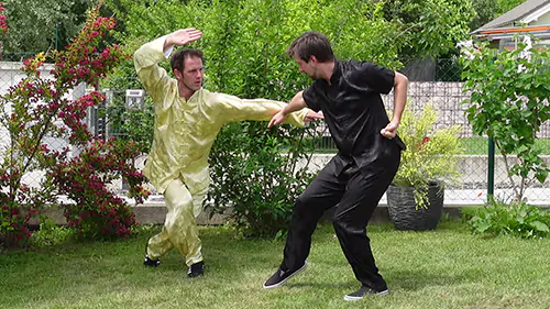 Shaolin Kung Fu Anwendung